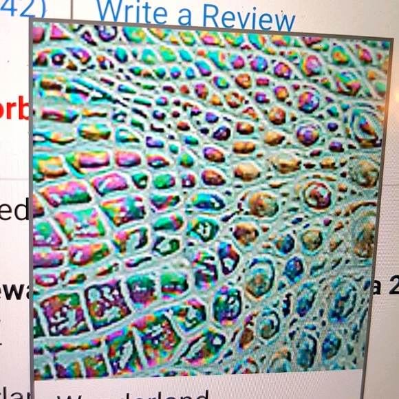 Brahmin veronica wallet in wonderland NWT - Picture 5 of 9